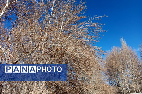 خزان زیبا در کوچه باغ‌های شهر بهمن