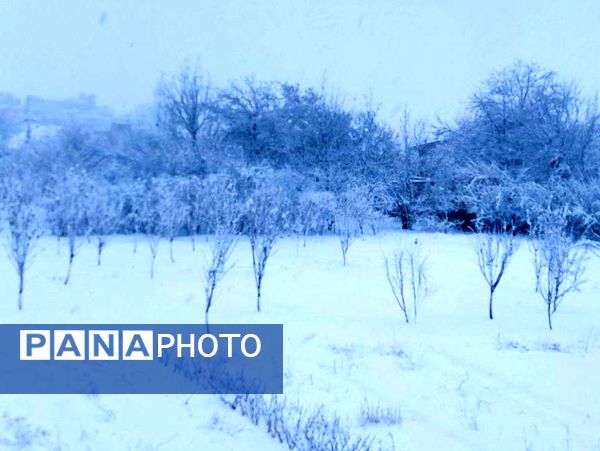 بارش برف جلوه ای از نعمت الهی در روزهای سفید باخرز