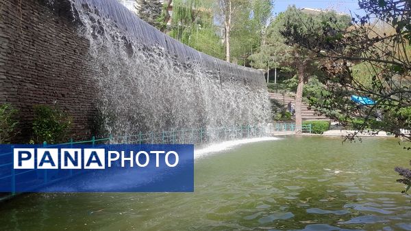 جلوه‌گری رنگ‌ها در دل بهار در یازدهمین جشنواره لاله‌ها در پارک چمران کرج