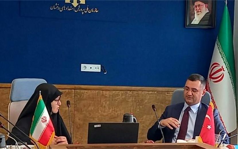 دیدار و گفت‌وگوی رایزن علمی سفارت ترکیه با رئیس سازمان ملی پرورش استعدادهای درخشان
