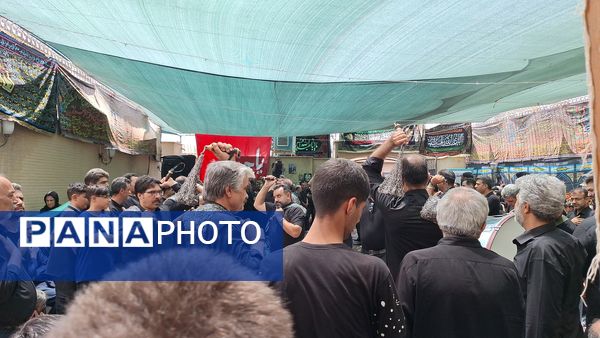 مراسم عاشورای حسینی در انگورستان ملک اصفهان
