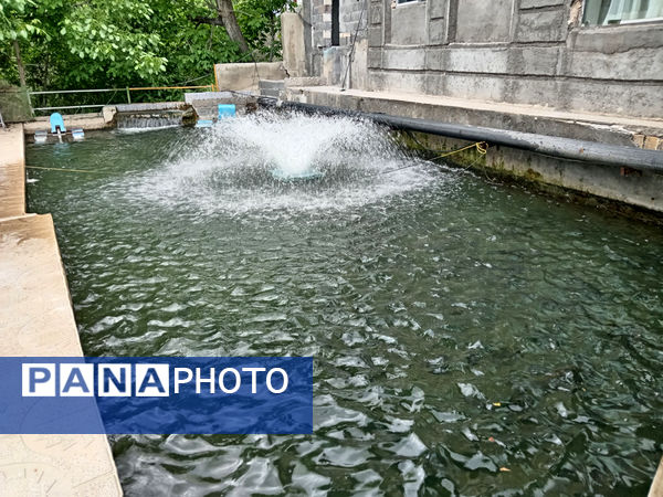 جلوه‌هایی از طبیعت تابستانی خلجستان و جعفرآباد قم
