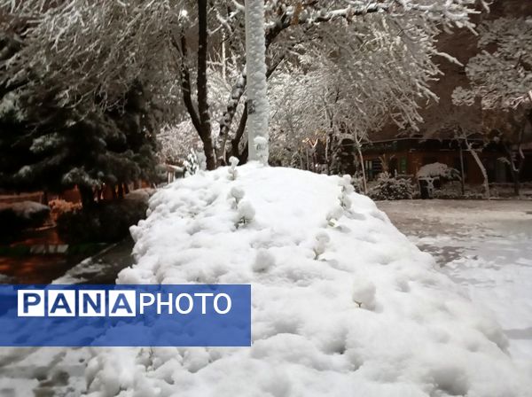 بارش برف در شهر زیبای مشهد 