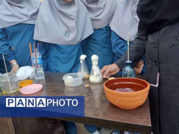 جشن دانش شهرستان میناب در روز آزمایشگاه 