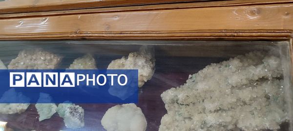 برگزاری اردوی علمی دانش‌آموزان مدرسه سعادت در دانشگاه هرمزگان