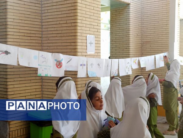 پشه آئدس سوژه نقاشی دانش‌آموزان شد