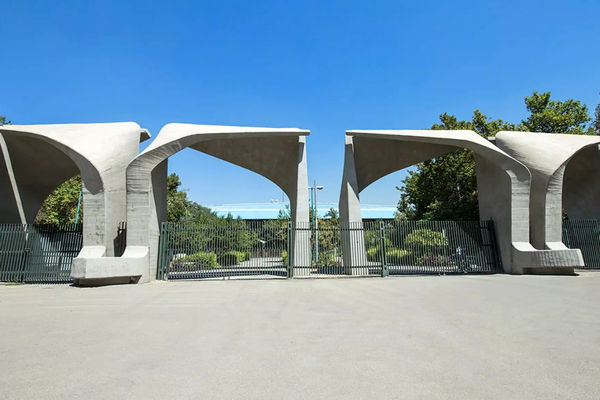 گزارش رئیس دانشکدگان هنرهای زیبا دانشگاه تهران درباره رویداد هفته طراحی