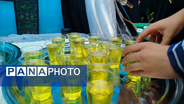 دانش‌آموزان ملایری، پیشگام در امر خدمت‌رسانی به زائران اباعبدالله الحسین (ع)