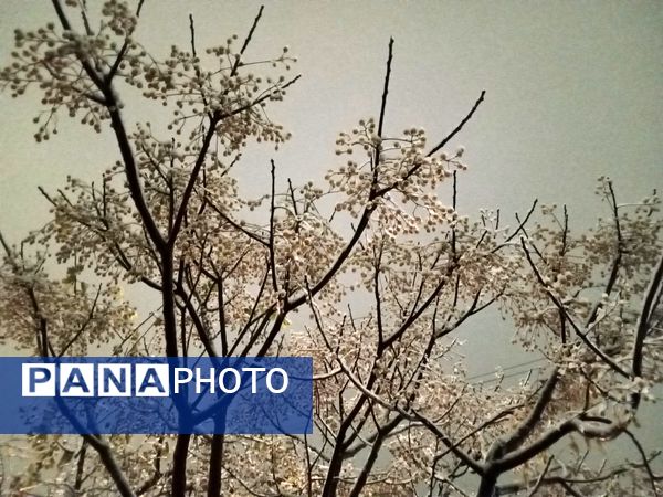 گذری بر دقایق اول بارش برف پاییزی در نیشابور 