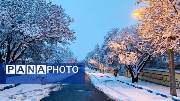 بارش برف جلوه ای از نعمت الهی در روزهای سفید باخرز