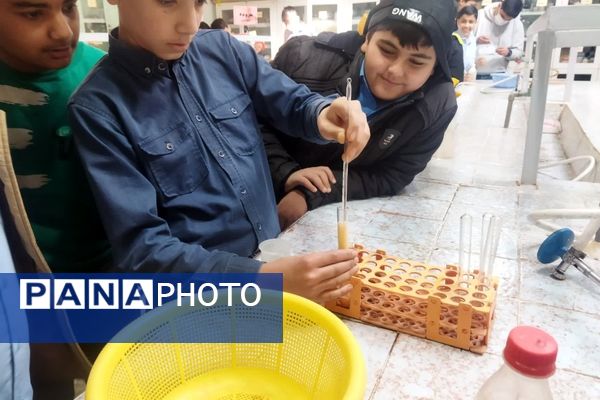 بازدید دانش‌آموزان دبیرستان نمونه دانش از پژوهشسرای رازی