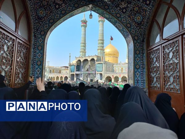 دسته عزاداری بانوان قم در سالروز شهادت امام رضا(ع)