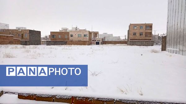 شازند سفیدپوش شد