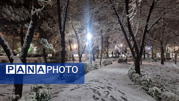 پارک‌های شهر مشهد در آغوش برف