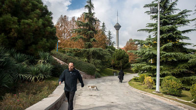 کیفیت هوای تهران قابل قبول شد