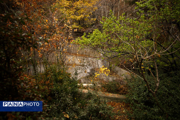 پاییز خیال انگیز در پارک جمشیدیه