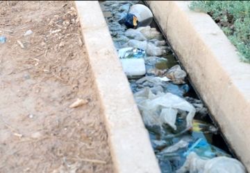 شهرک شهید عباس‌پور ۲؛ شهری بدون آسفالت، غرق در زباله و تهدید سگ‌های ولگرد