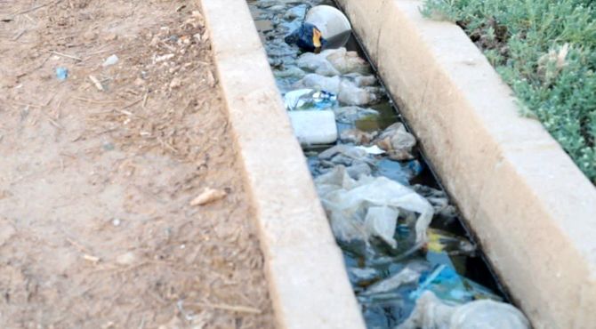 شهرک شهید عباس‌پور ۲؛ شهری بدون آسفالت، غرق در زباله و تهدید سگ‌های ولگرد