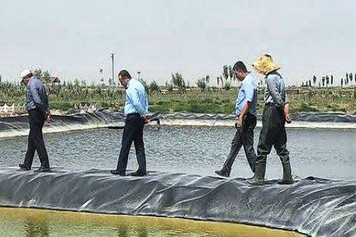 راهاندازی اولین مزرعه آرتمیا در استخرهای پوششی ژئوممبران
