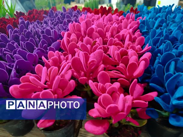  دهمین نمایشگاه گل و گیاه و گیاهان آپارتمانی در اردبیل
