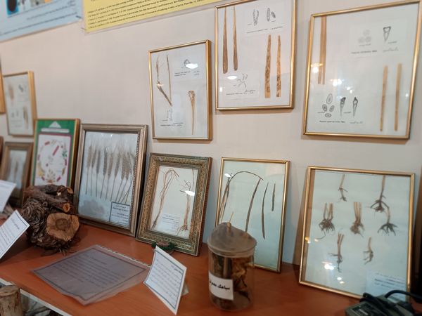 گام خبرنگاران در مسیر تنوع زیستی