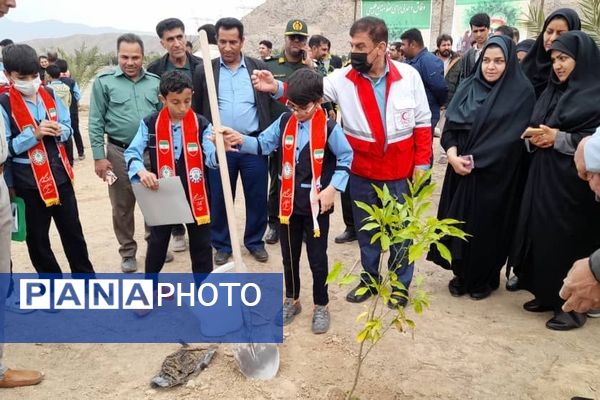 مراسم نمادین کاشت نهال در حاجی‌آباد 