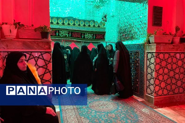 پیشوا در سوگ؛ سالروز شهادت امامزاده جعفر(ع)، ملجأ و پناه مردم دیار کهن