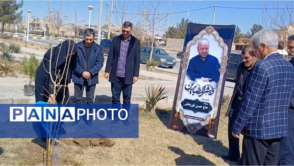 درختکاری به یاد زنده یاد حاج حسن نوربخش حبیب آبادی