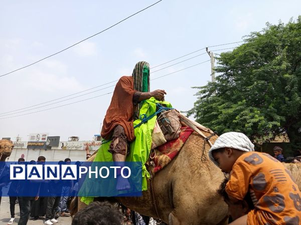 مراسم عزاداری روز عاشورا در میناب