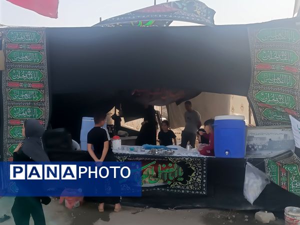 گام هایی از جنس عشق به امام رضا (ع)
