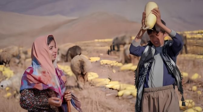 فریدون نجفی: نیاز به آموزش سینما از مدرسه آغاز می‌شود 