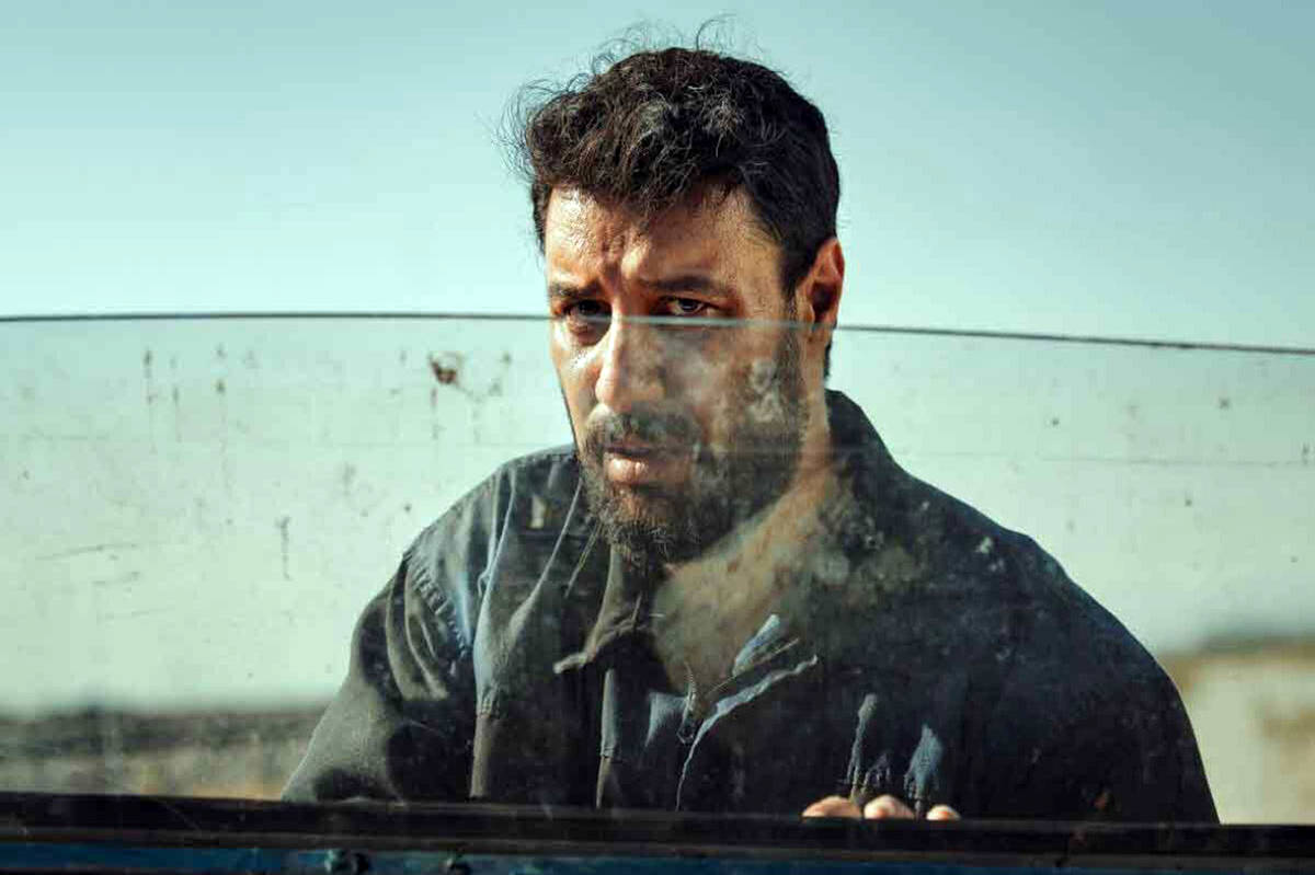 خشونت وحشی مانند قورباغه فریاد نمی کشد 