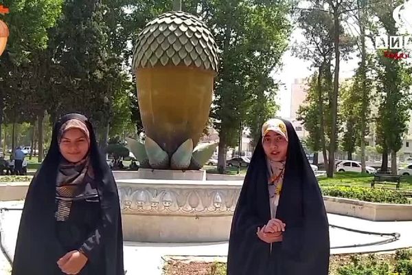 وقتی بلوط قصه می‌گوید…