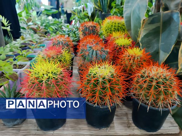  دهمین نمایشگاه گل و گیاه و گیاهان آپارتمانی در اردبیل