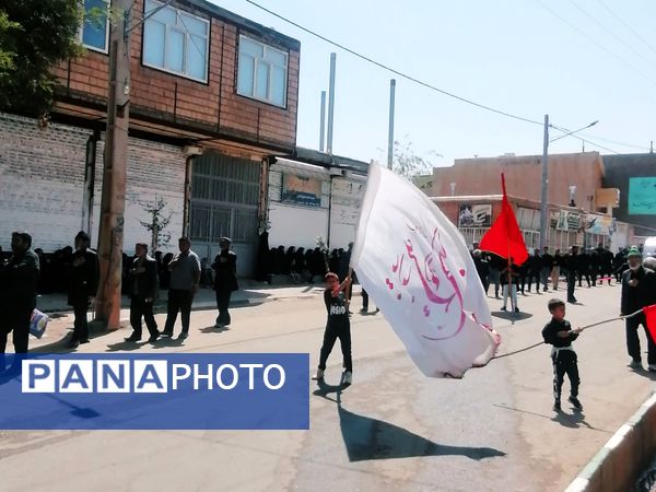 شهر نسر غرق در سوگ؛ برپایی دسته‌های عزاداری شهادت امام حسن(ع) و رحلت پیامبر اکرم(ص)