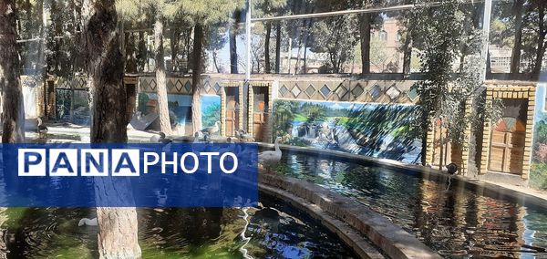 باغ پرندگان تربت حیدریه، تجربه‌ای منحصربه‌فرد در شرق کشور
