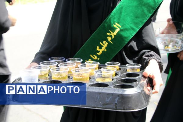 پیاده‌روی جاماندگان اربعین حسینی شهرستان بم 