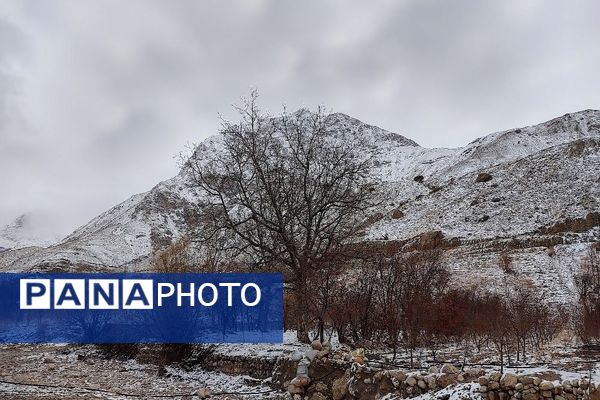 خودنمایی برف در شهر بار نیشابور