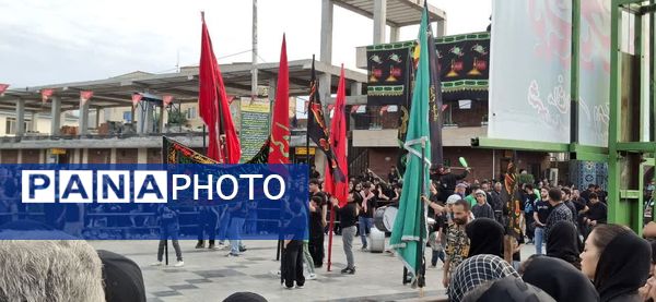 تاسوعای حسینی در شهرستان آمل