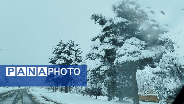 جلوه های زیبا از بارش برف در شهرستان نیشابور 