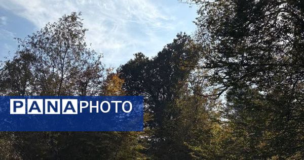 نگین سبز شمال ایران