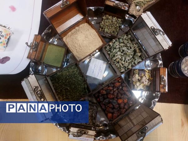 برگزاری نمایشگاه گیاهان دارویی در دبیرستان شاهد شهدای اقتدار ملارد 