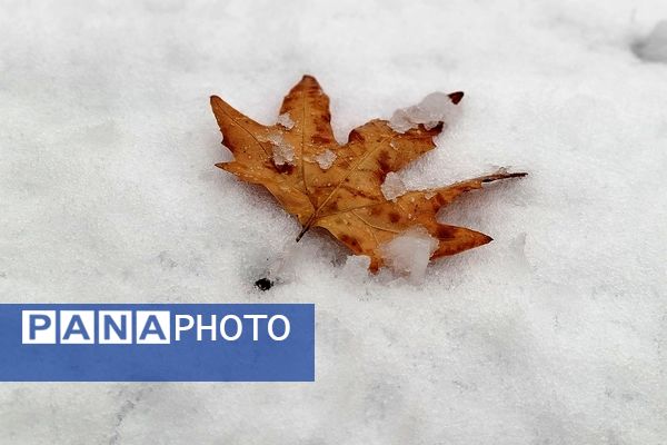 لردگان میزبان اولین برف زمستانی 