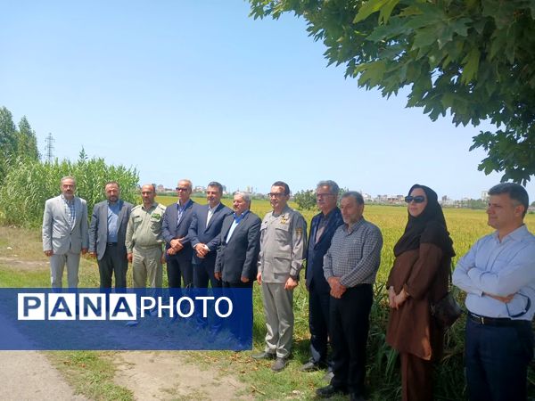 حضور معاون محیط‌ زیست دریایی و تالاب‌های سازمان حفاظت از محیط زیست در فریدونکنار