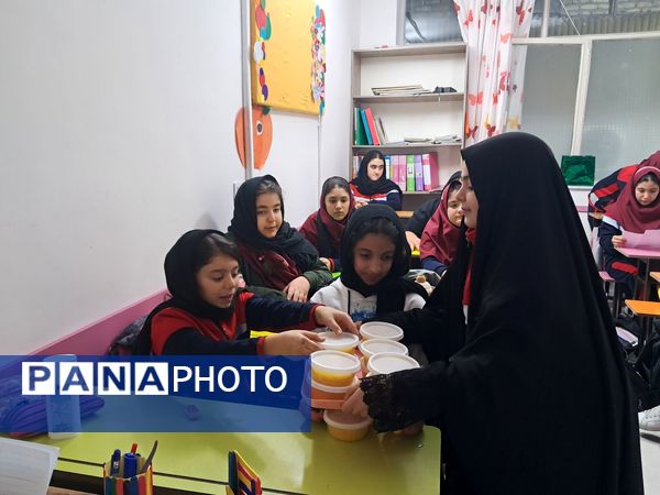 شور و عشق فاطمی در همه جا طنین انداز شد