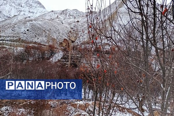 خودنمایی برف در شهر بار نیشابور