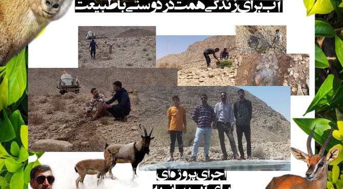 با هر قطره‌ای که به زمین می‌رسد، امیدی در دل طبیعت جوانه می‌زند