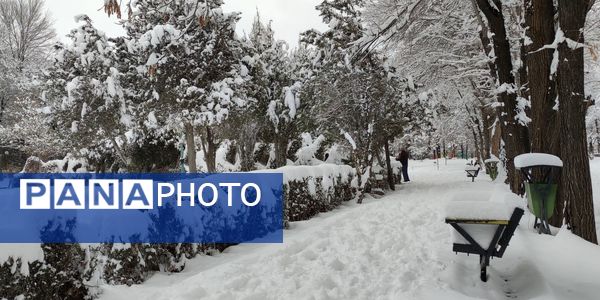 سکوت برفی بروجن، قلب شهر را به تپش انداخت