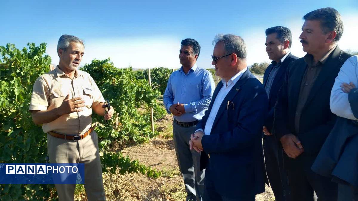 سفر معاون وزیر جهاد کشاورزی به کاشمر