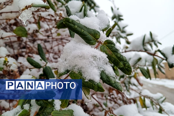 یک روز برفی در روستای بنادکوک‌ دیزه